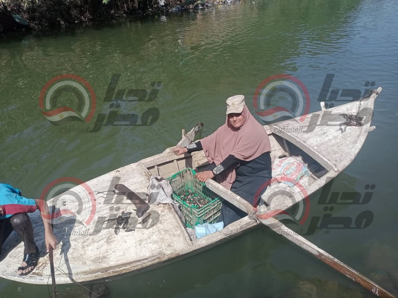 f03e031b-c87e-4b1e-9f57-6f7dac74ee1a