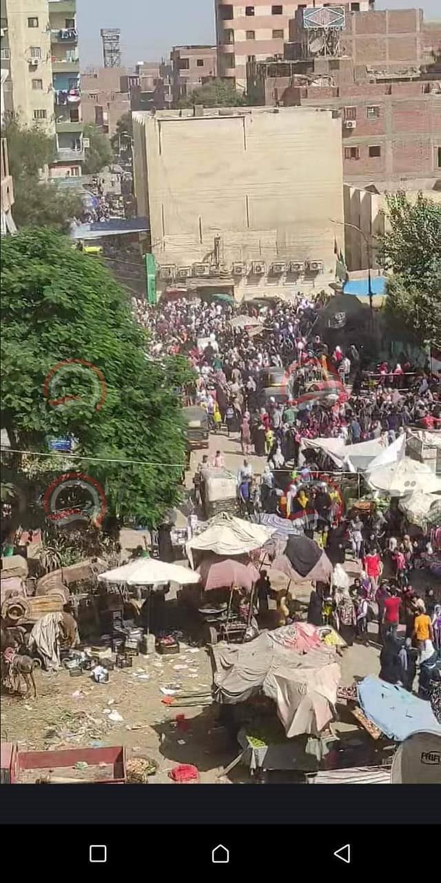 310077846_531598358967189_6021843994672595791_n