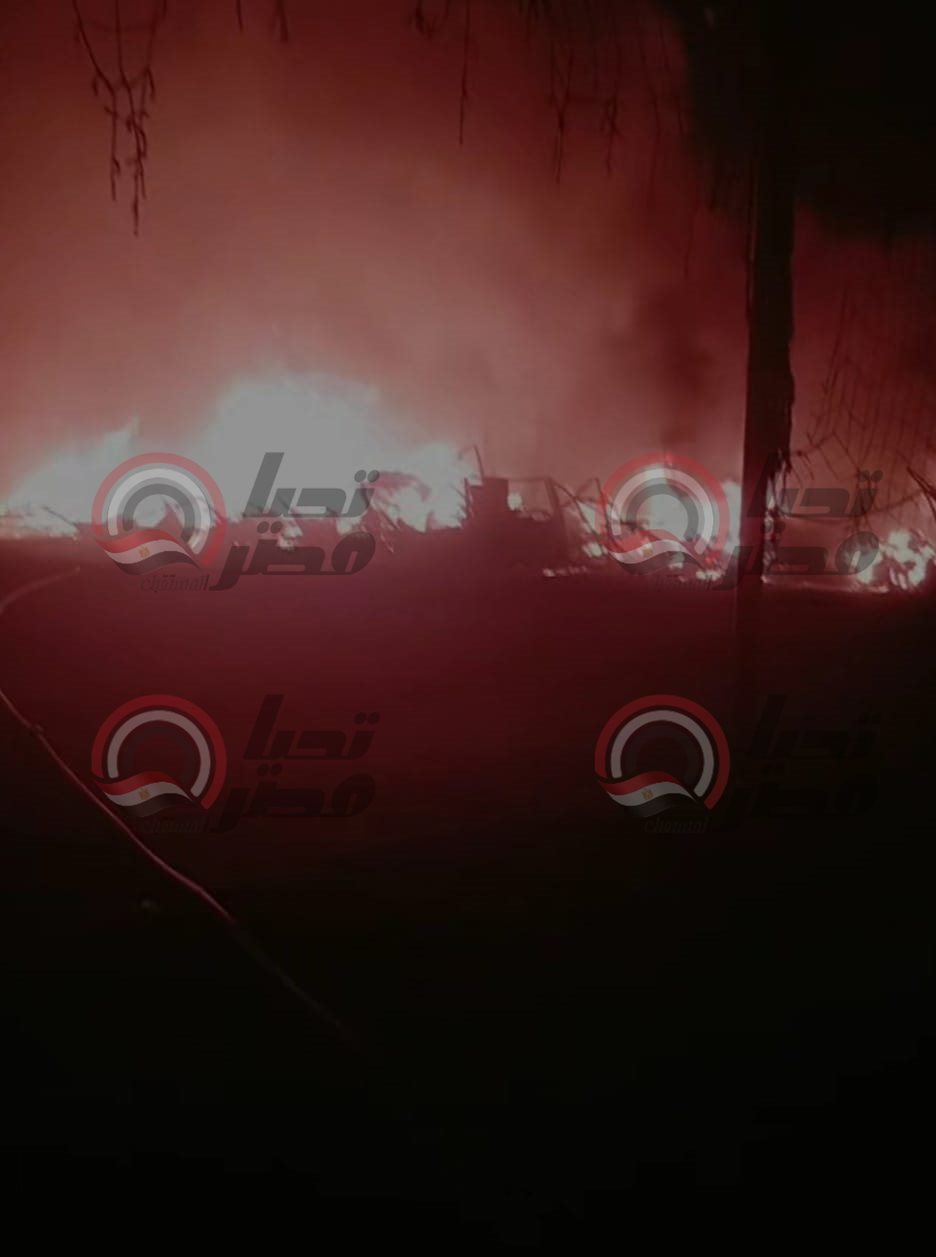 441900726_10233764635036322_8662615634449753426_n