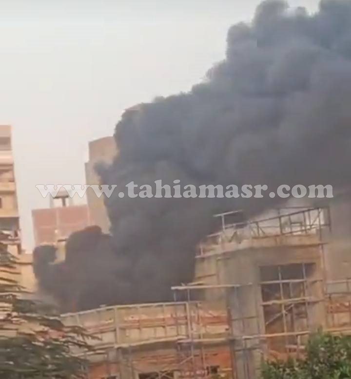 474516961_9139595382_776_061205