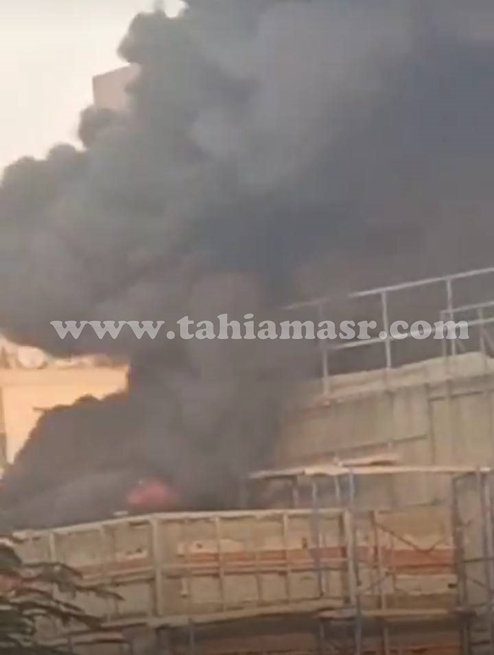 475407539_9139595252_776_061204