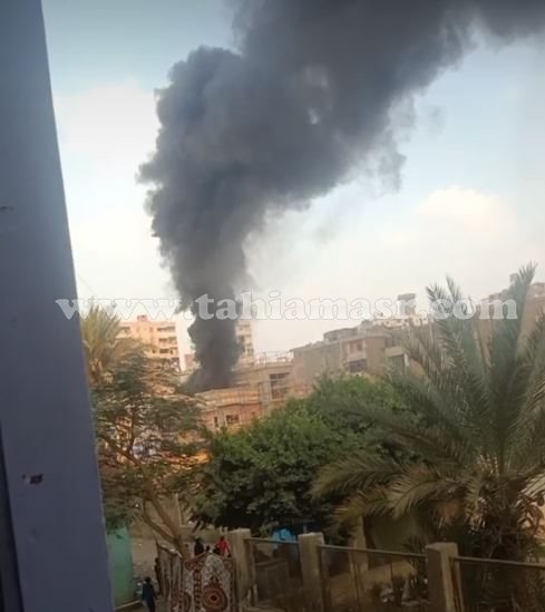 454554454354545_776_061204