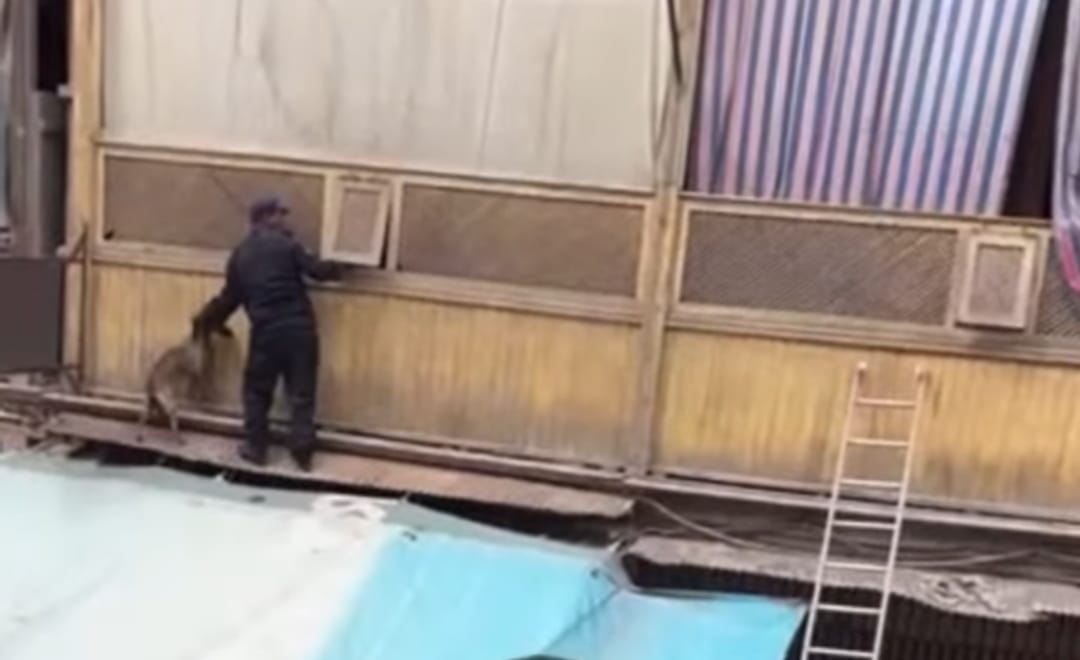 IMG-20250303-WA0012_2832_033325