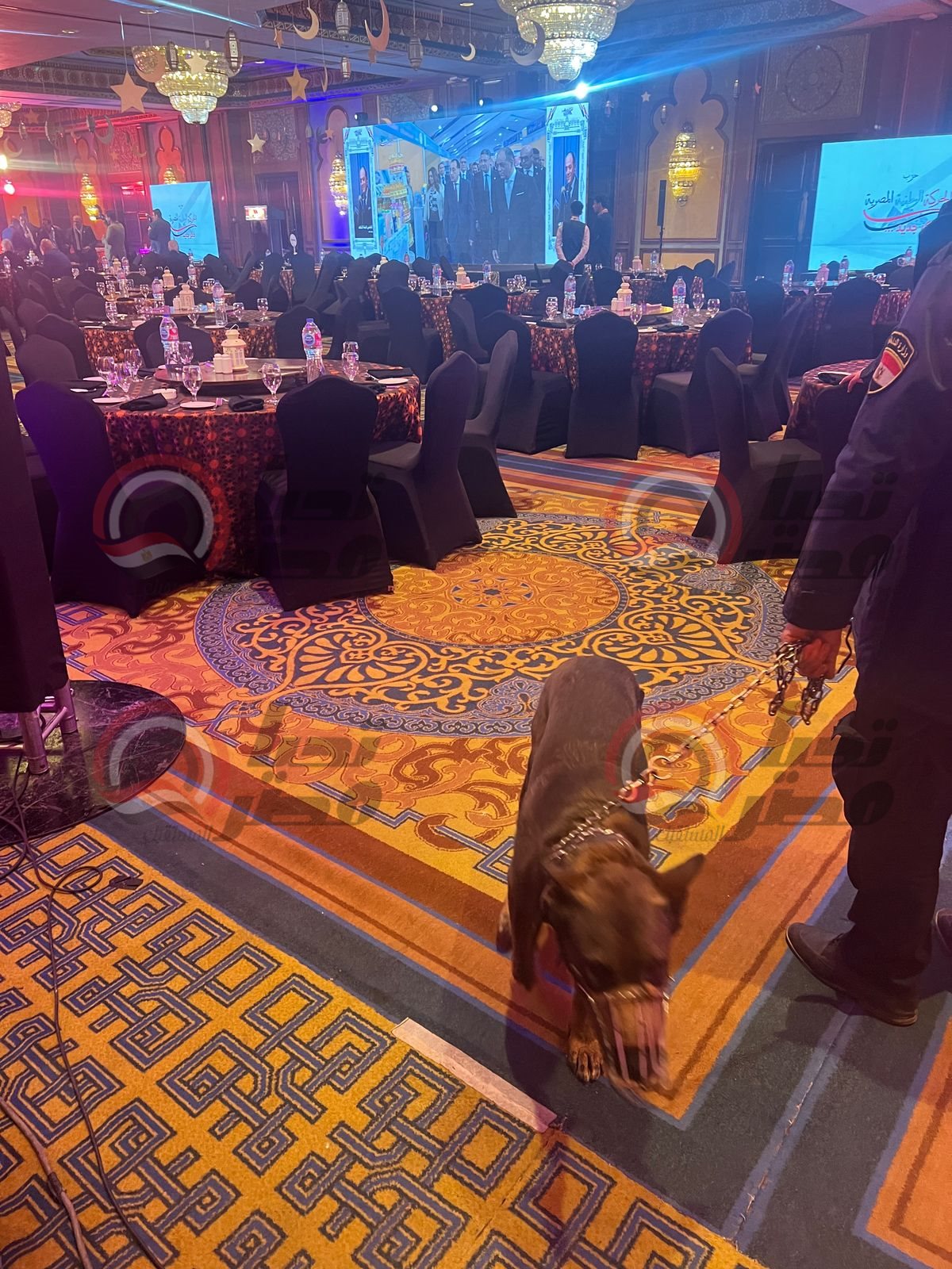 ea57c8d9-09e3-41f6-ba47-d2825de06734