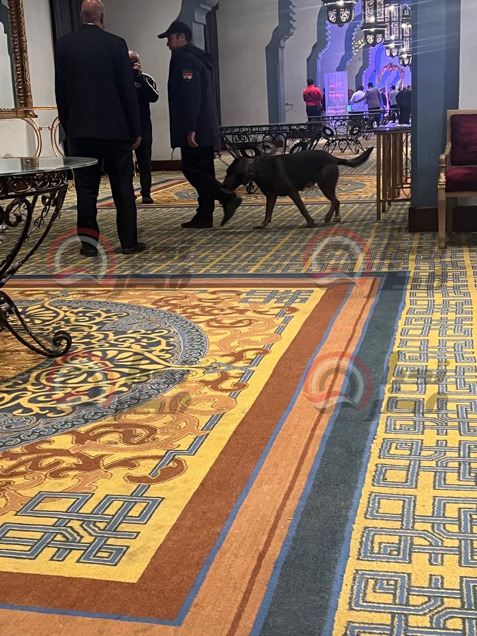 e0b4989a-77de-477e-a367-43b36565f3ff