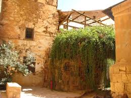 ‫العليقة».. شجرة مُقدسة في سانت كاترين ناجى عندها موسى ربه - الاتحاد للأخبار‬‎