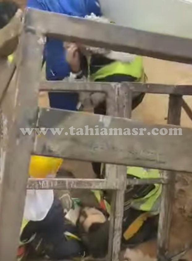 493560698_1223930986057966_3268147983109722025_n