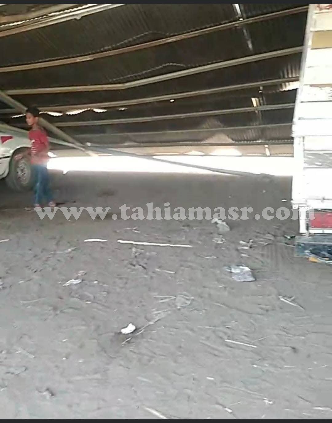 494680774_3483952388_697_053740