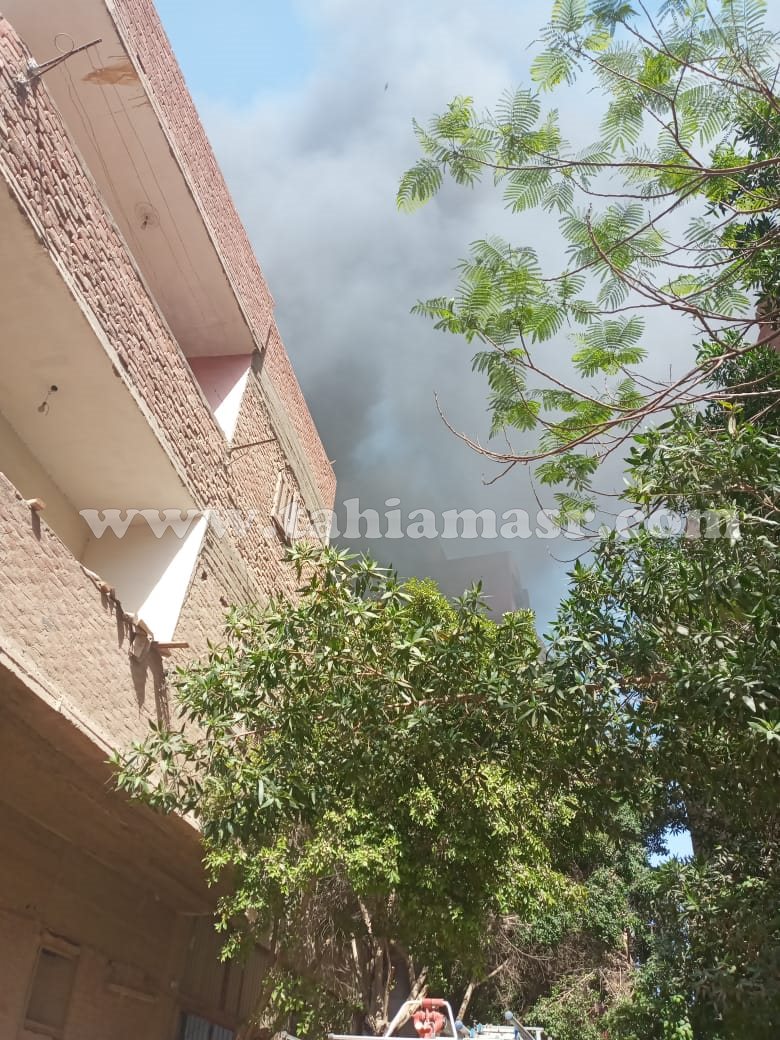 495650993_699859049302681_8919278836936082056_n