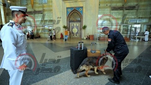 374cc7e3-7868-43ae-a0c5-fec0f4c356db