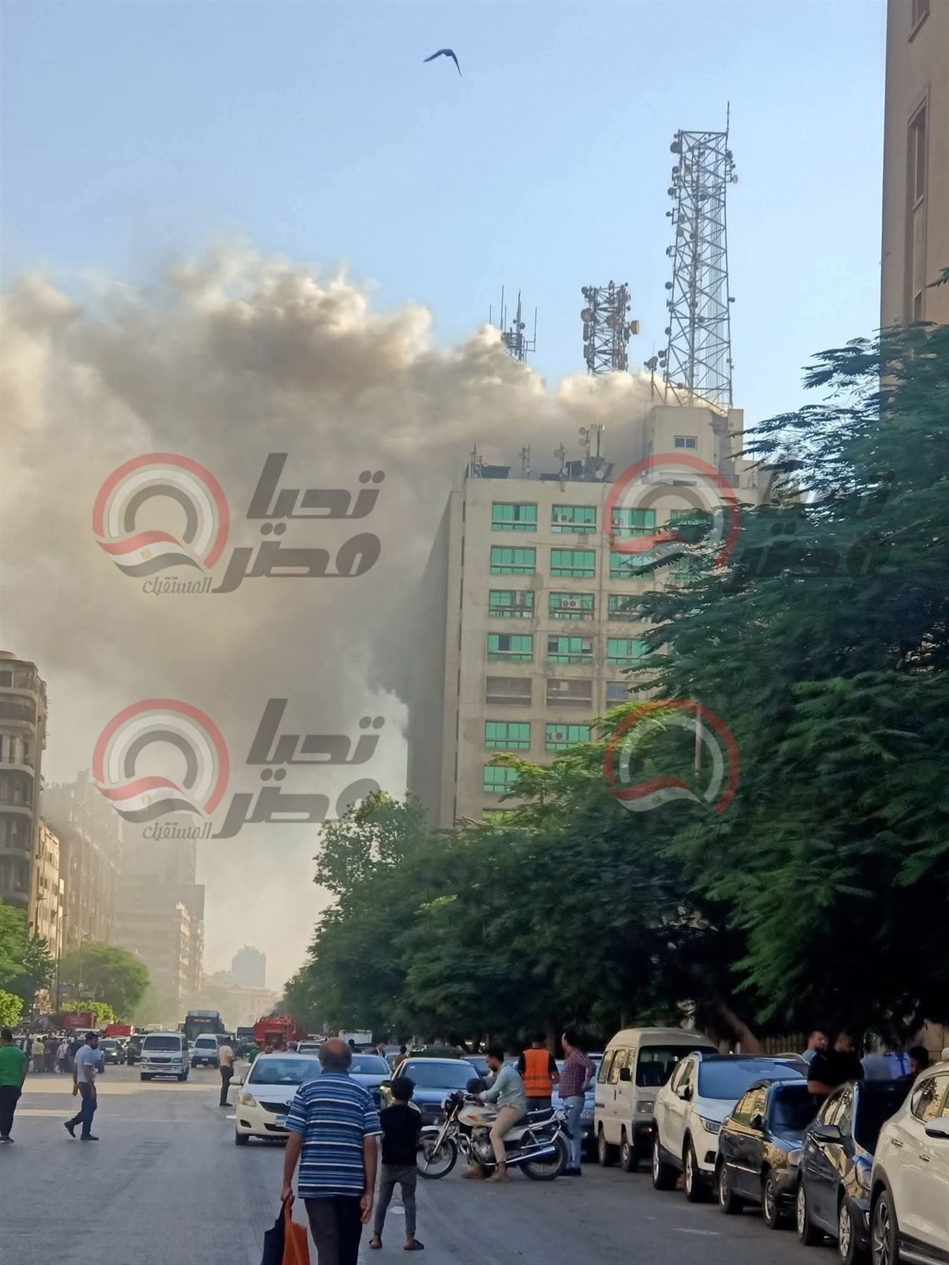 FB_IMG_1751901476726