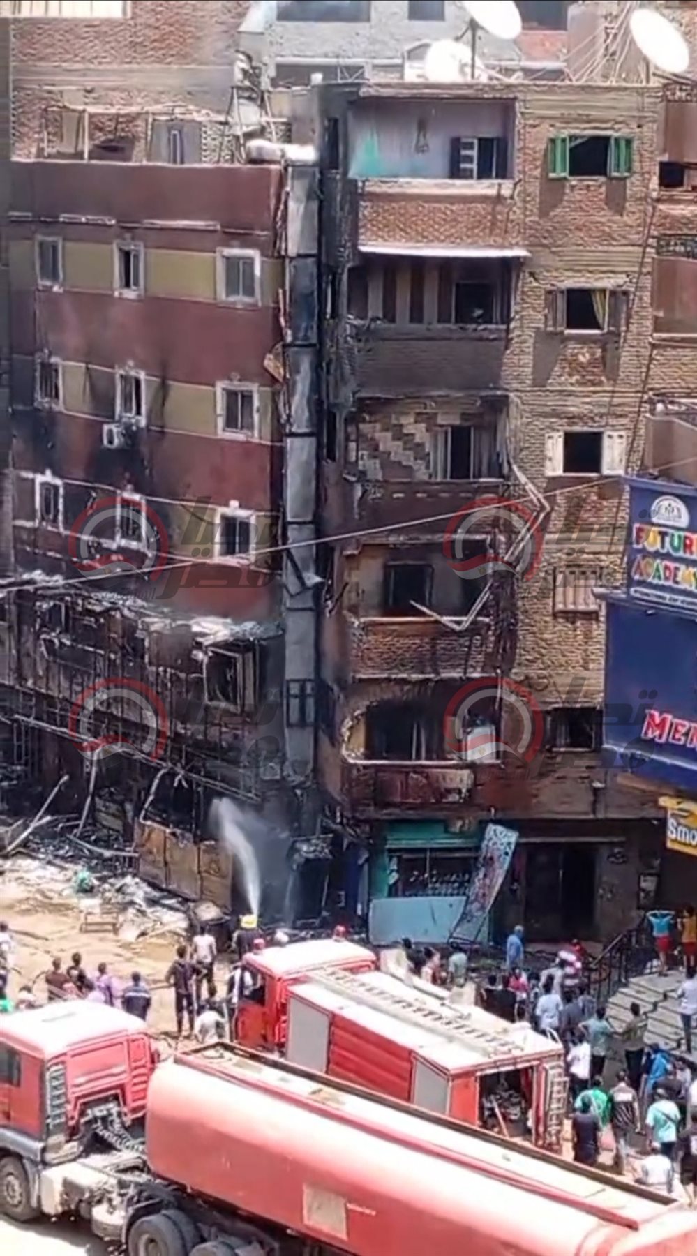 519660772_1049860517230121_7590541677145457214_n