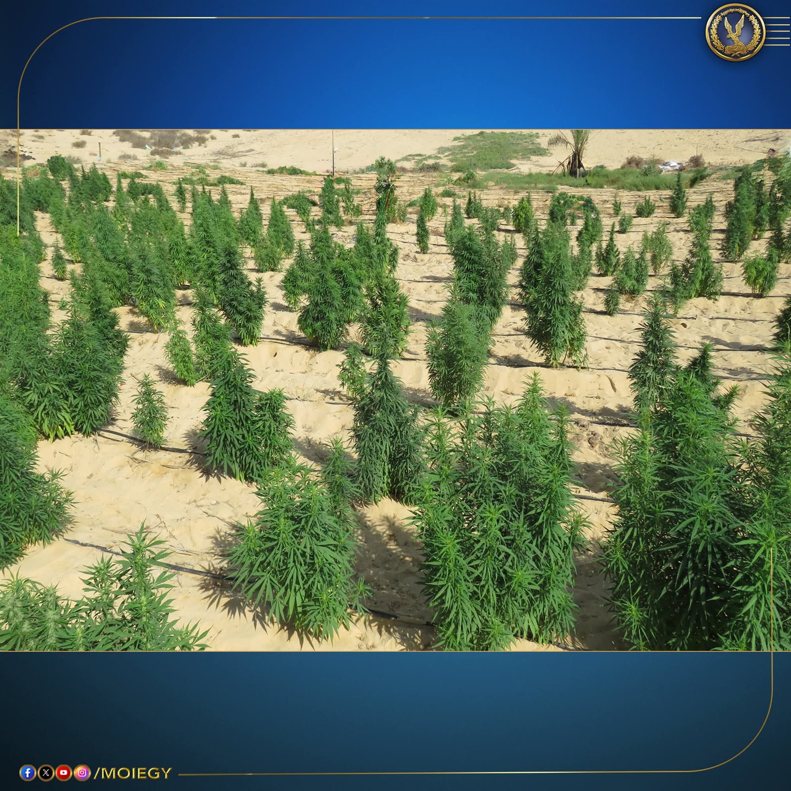 FB_IMG_1755868407722