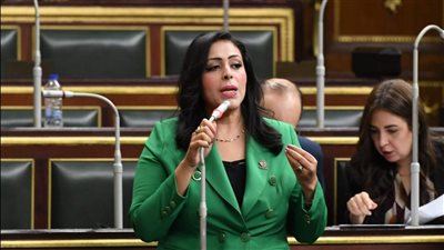 النائبة مرثا محروس وكيل لجنة الاتصالات وتكنولوجيا المعلومات بمجلس النواب