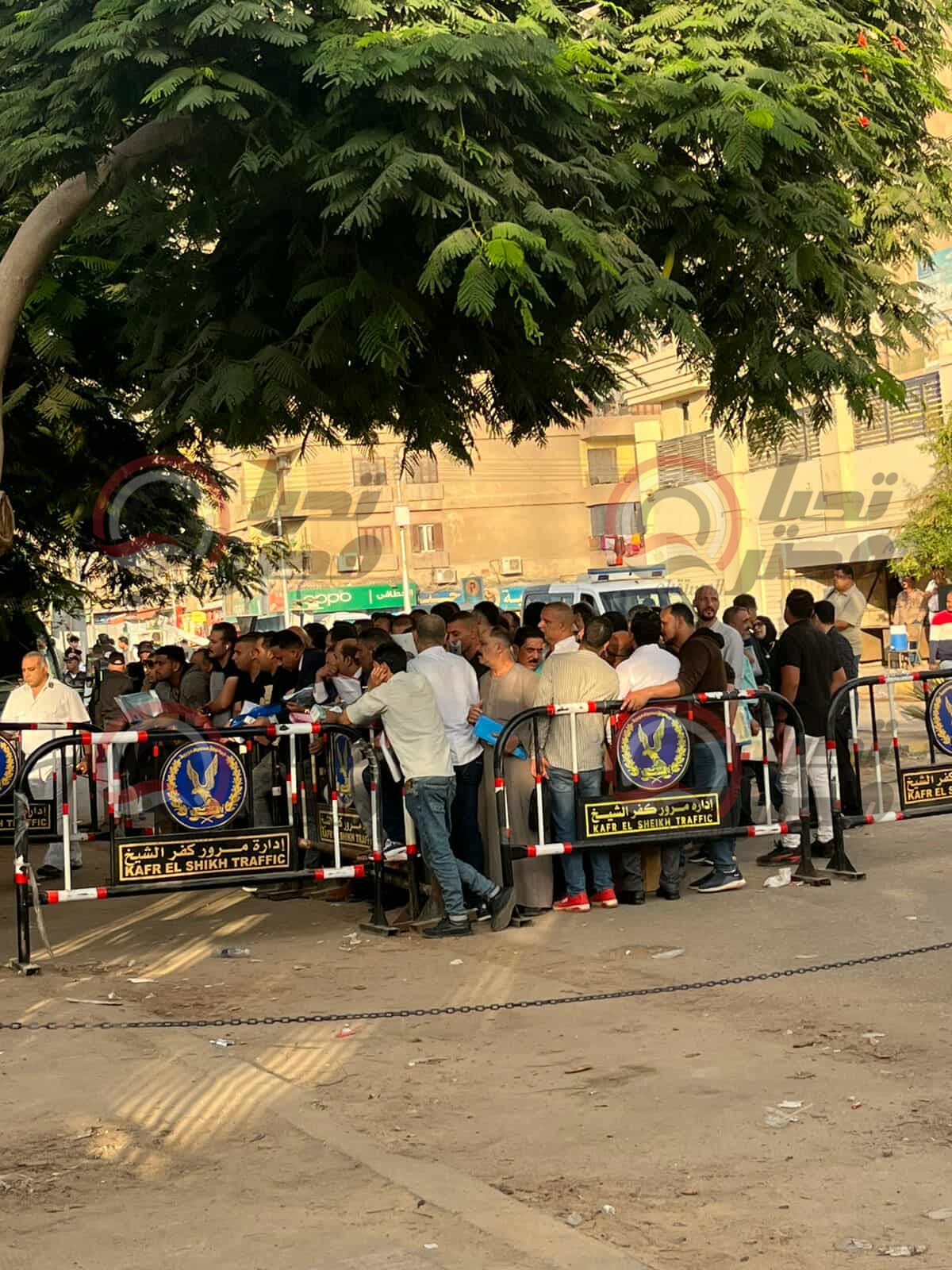 received_696514076178965