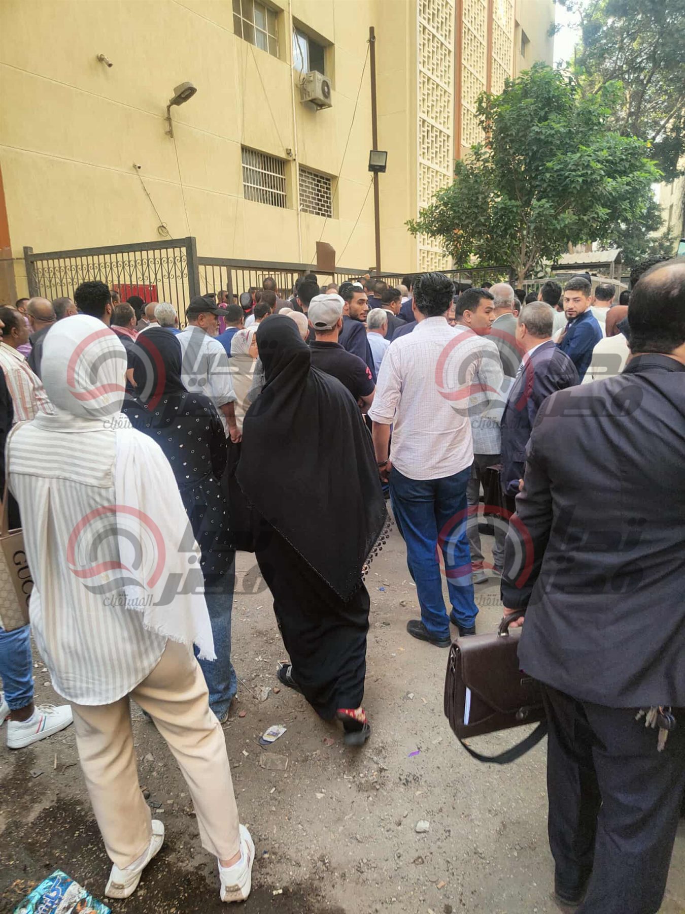 received_1027921002726387