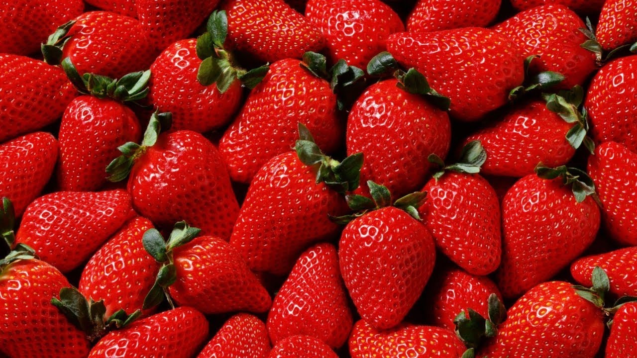 مصر أكبر دولة في العالم في تصدير الفراولة المجمدة