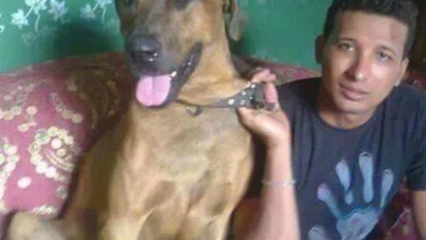 فيديو.. خطيبة «متهم