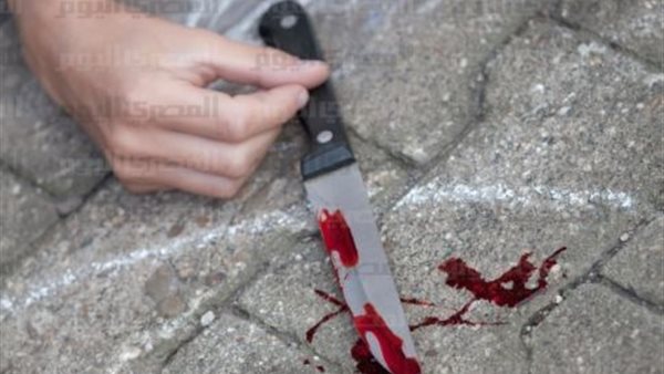 ربة منزل تطعن طفلها