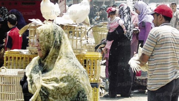 اختفاء الدواجن من