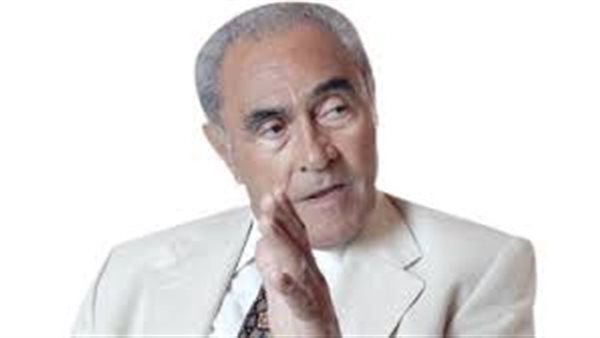 أحمد عز العرب، نائب