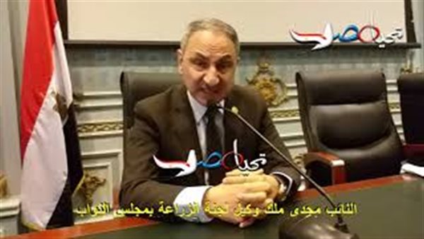 النائب مجدى ملك وكيل