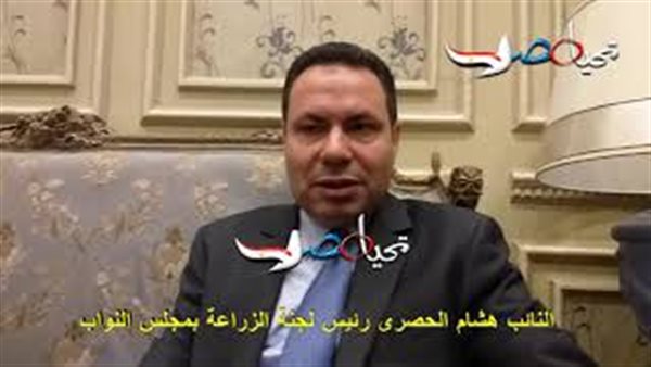 النائب هشام الحصرى