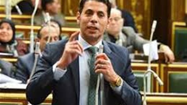 النائب سعيد حساسين