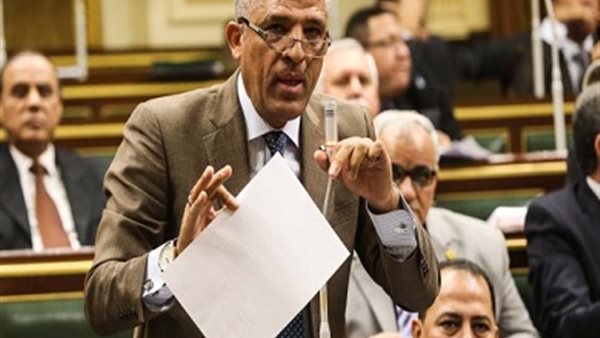 النائب محمد الحسينى