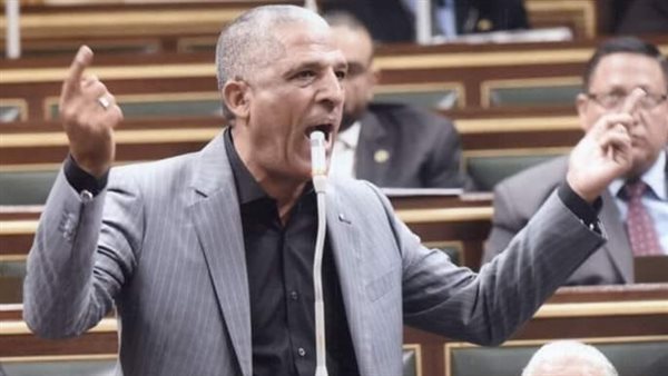 النائب محمد الحسينى