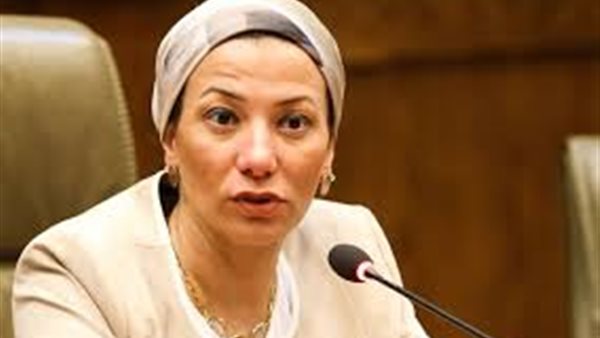 ياسمين فؤاد وزيرة