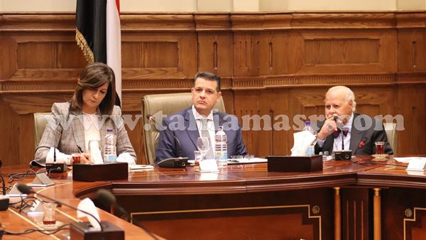 خلال اجتماع لجنة