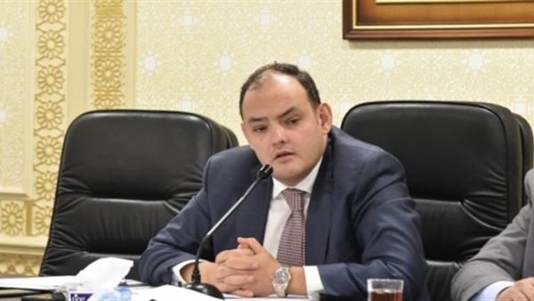 النائب احمد سمير