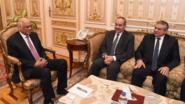 جانب من اللقاء 