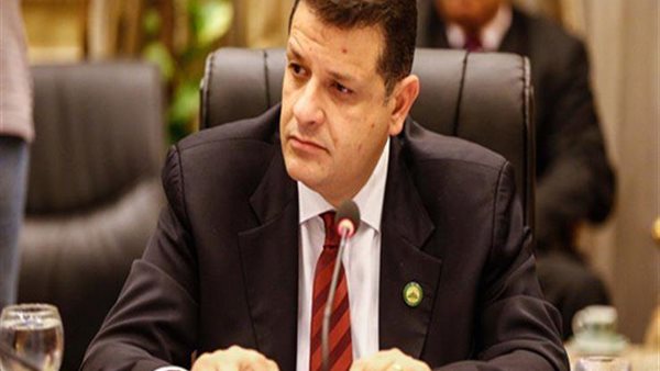 النائب طارق رضوان