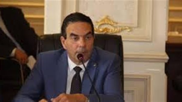 أيمن أبو العلا 