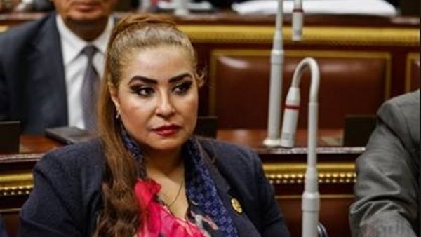 النائبة غادة عجمي