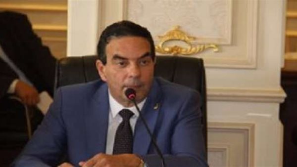 الدكتور أيمن أبو