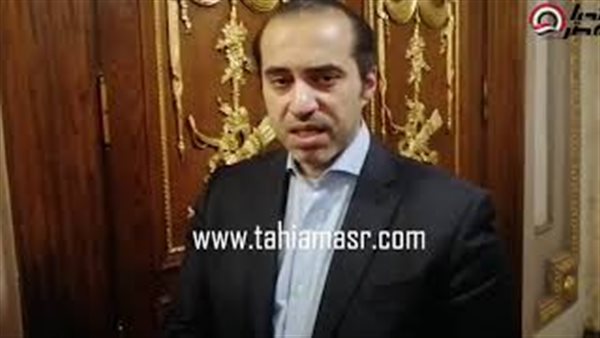 المستشار محمود فوزى