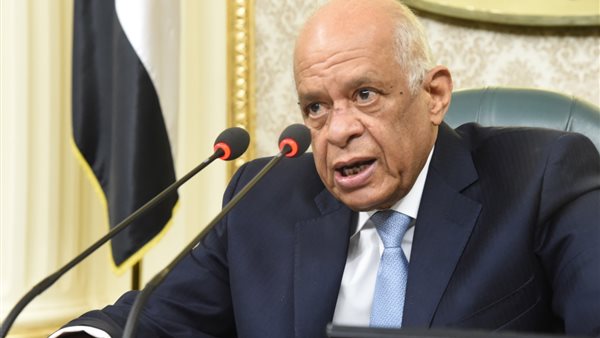 د.على عبدالعال رئيس