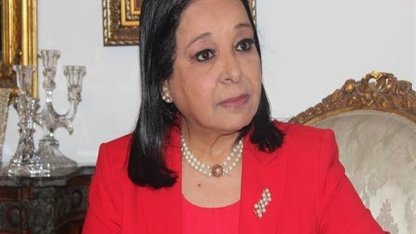 النائبة انيسة حسونة