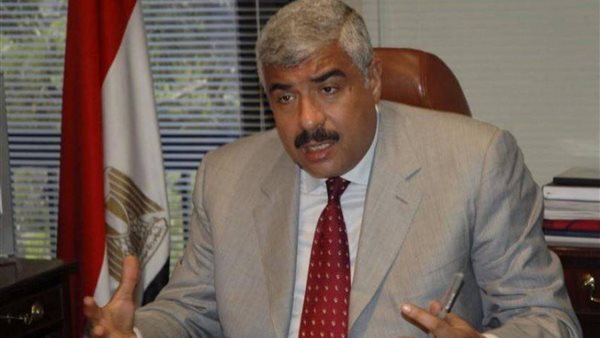 هشام طلعت مطفى