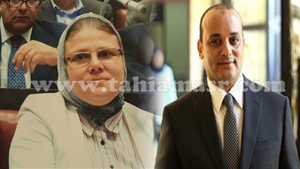 النائبة شيرين فراج