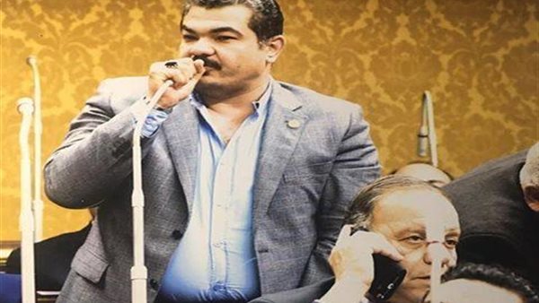 النائب يوسف الشاذلى