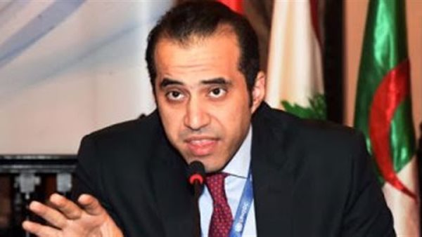 المستشار محمود فوزي