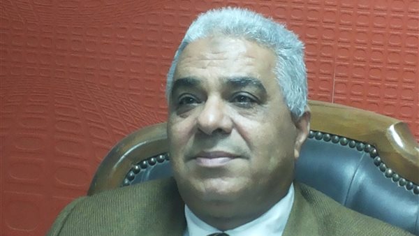 النائب محمد المصرى