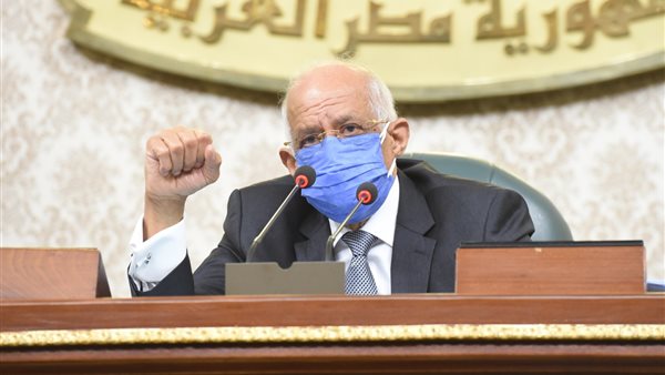 د.على عبد العال رئيس