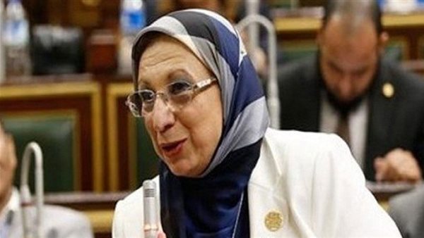 النائبة إيناس عبد