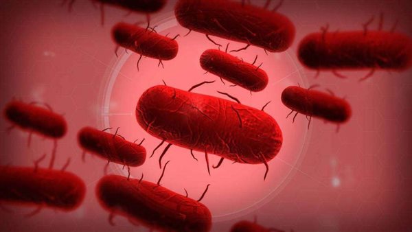 الطاعون الدبلي 