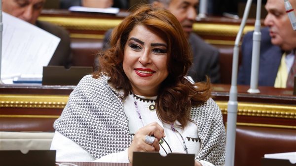 النائبة غادة عجمي